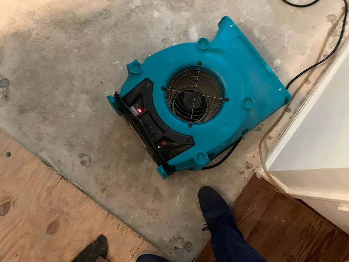 Air mover drying subfloor during Leak Detection & Repair in Williston